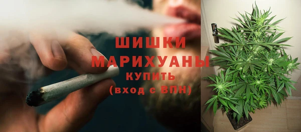прущие грибы Абаза