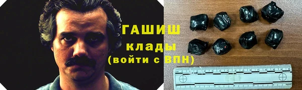 гашик Алексин