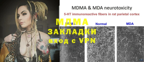 прущие грибы Абаза