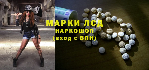 гашик Алексин