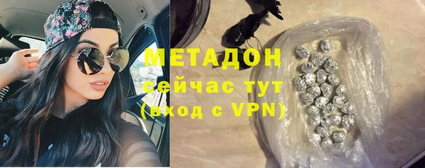 гашик Алексин