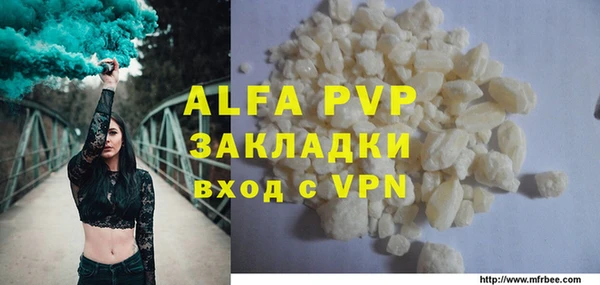 прущие грибы Абаза